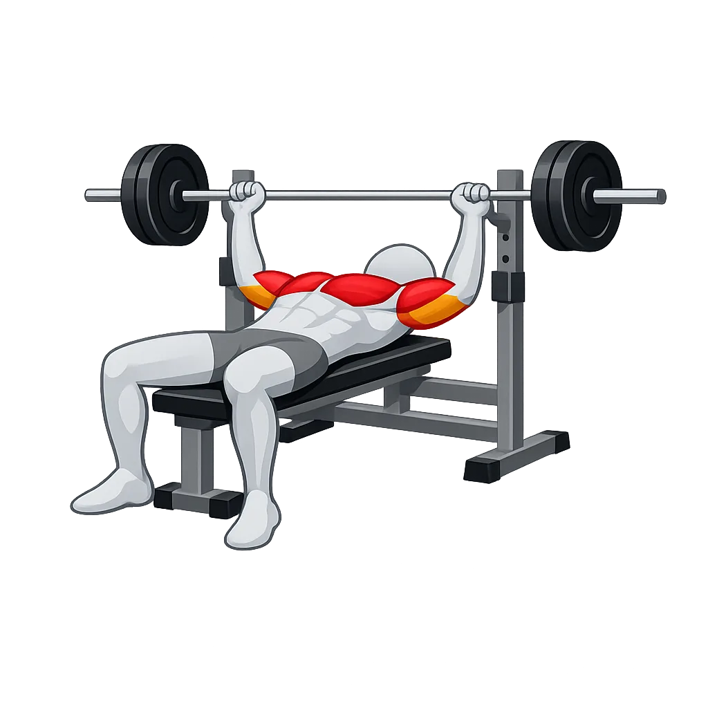Bench Press