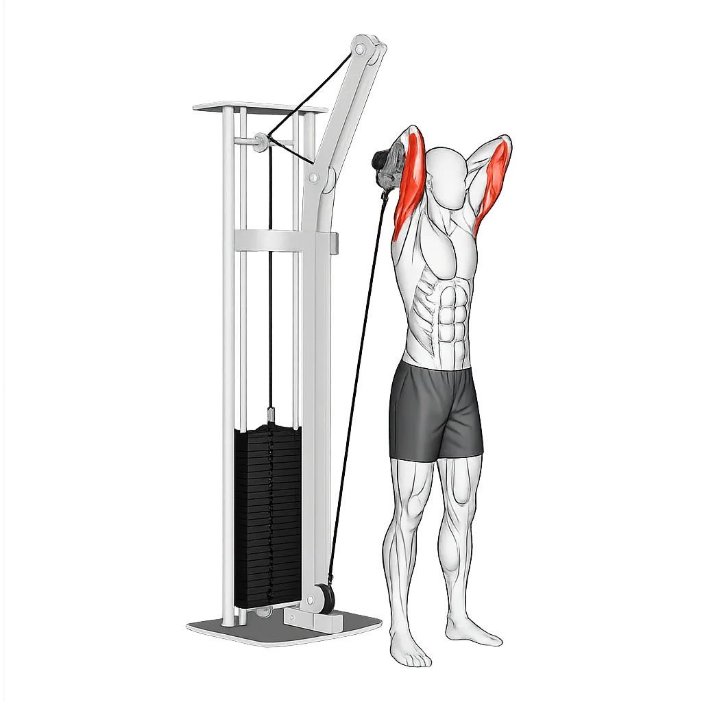 Cable Rope Overhead Triceps Extension