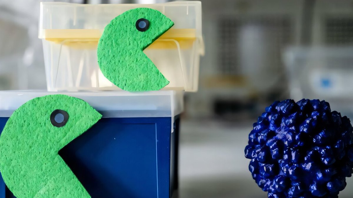 CRISPR blocks RNA, offers hepatitis E treatment path - hepatitis e treatment