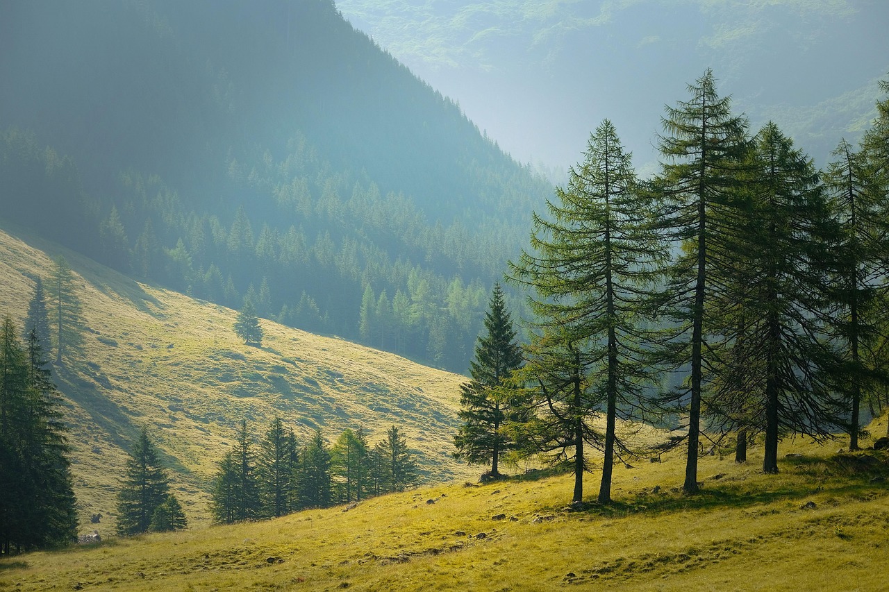 Explore More About the valuable Internal Vs External API