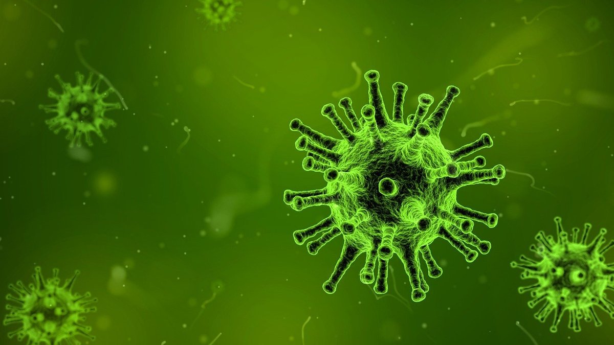 WHO warns Ebola, hantavirus outbreaks signal dangerous times - ebola hantavirus outbreak