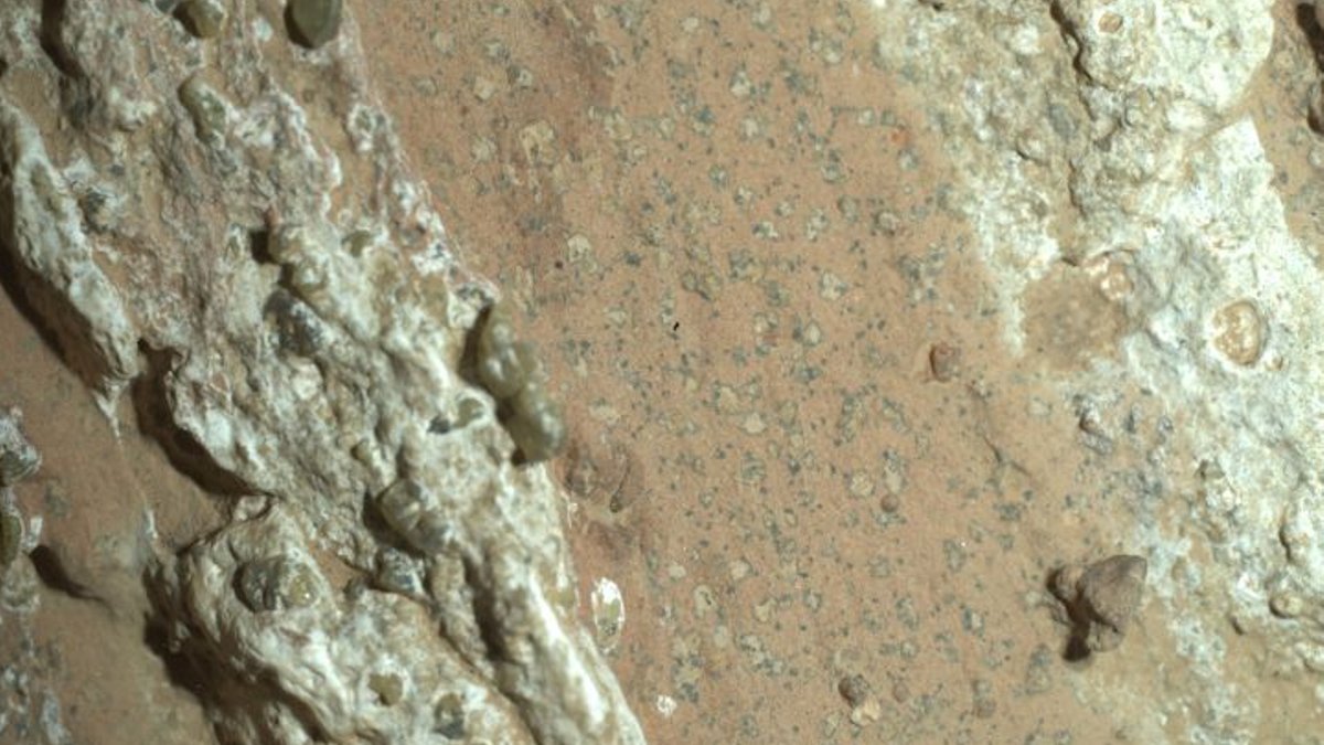 Mars rock holds ancient life signs - mars life