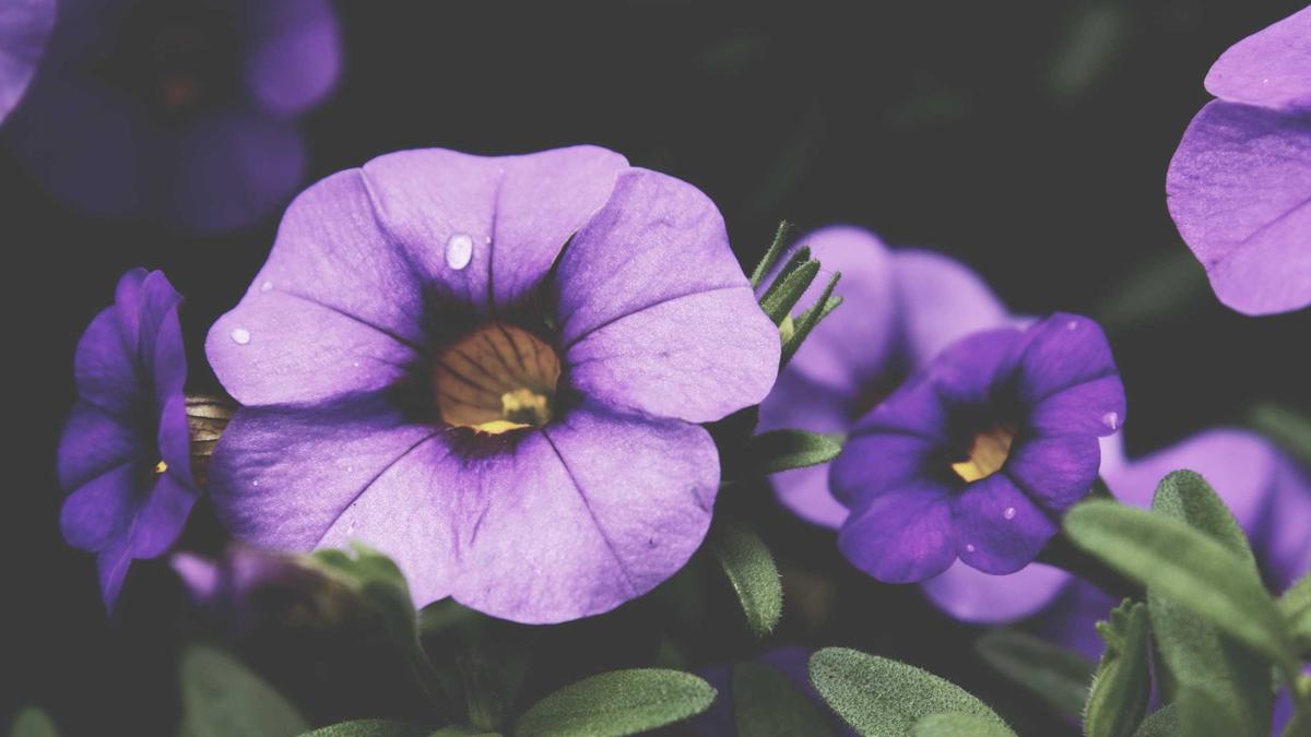 Overcoming Cart Abandonment: Strategies That Work