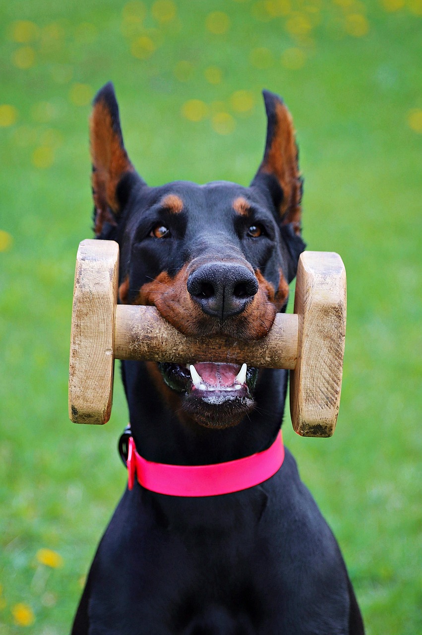 The Contribution of Multi-Channel Marketer End Point Assessment