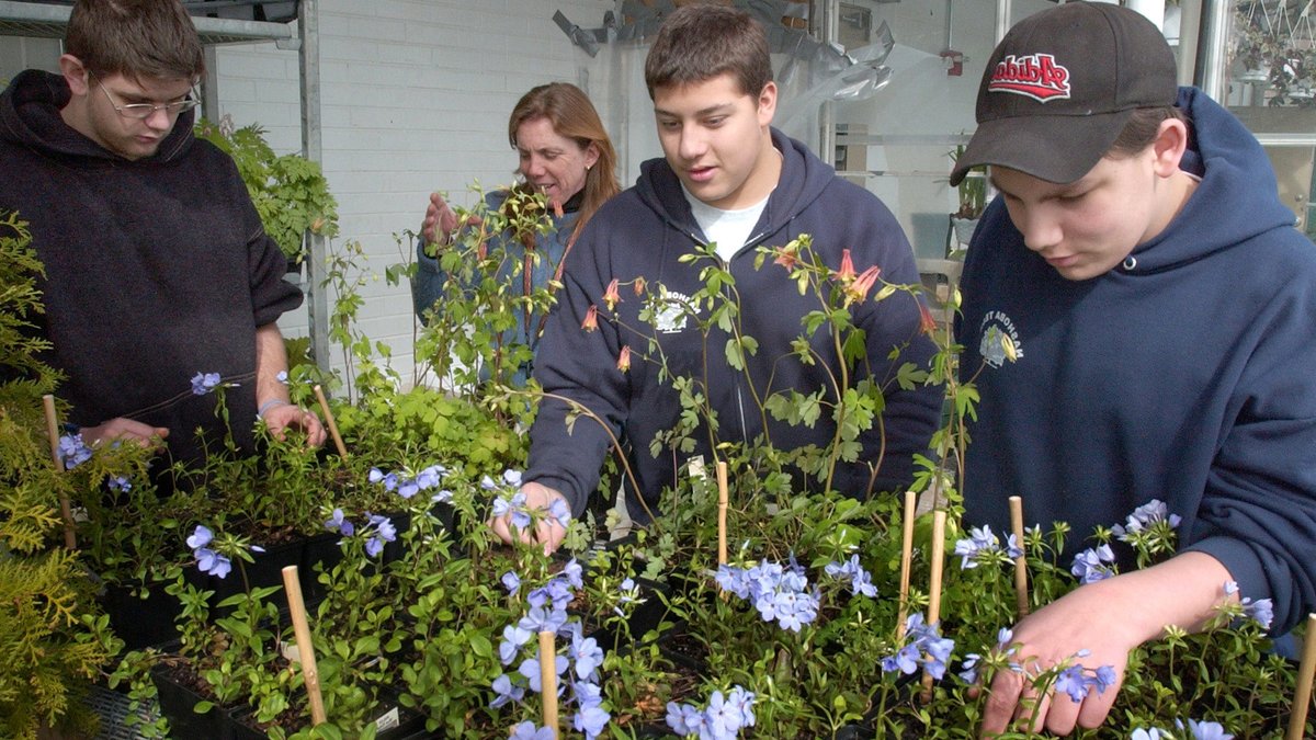 Empowering boys to take climate action - boys climate action