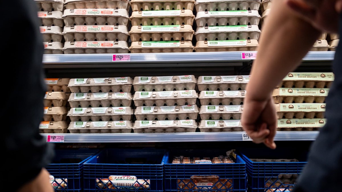 Egg prices plummet amid rising costs