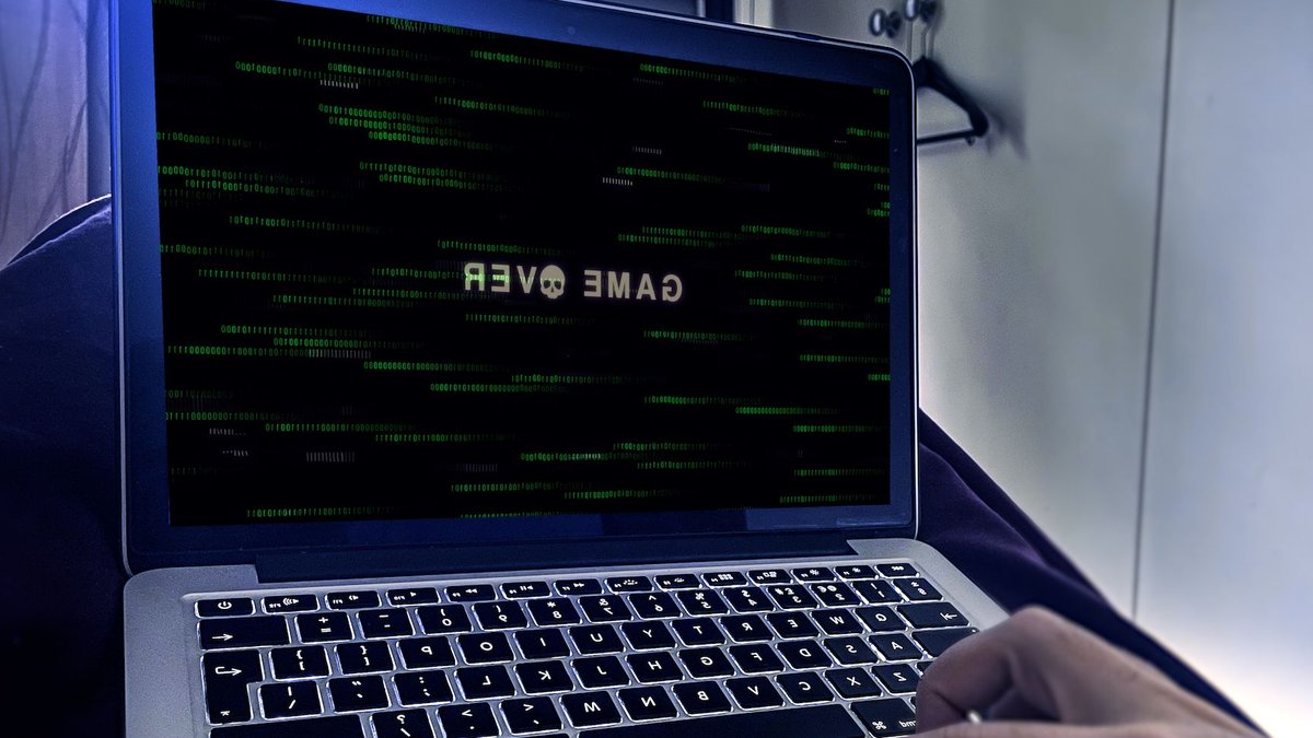 Police seize servers in global cyber raid