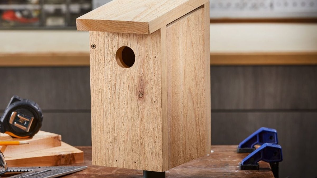 Bluebird House Made from Single Cedar Board - bluebird house