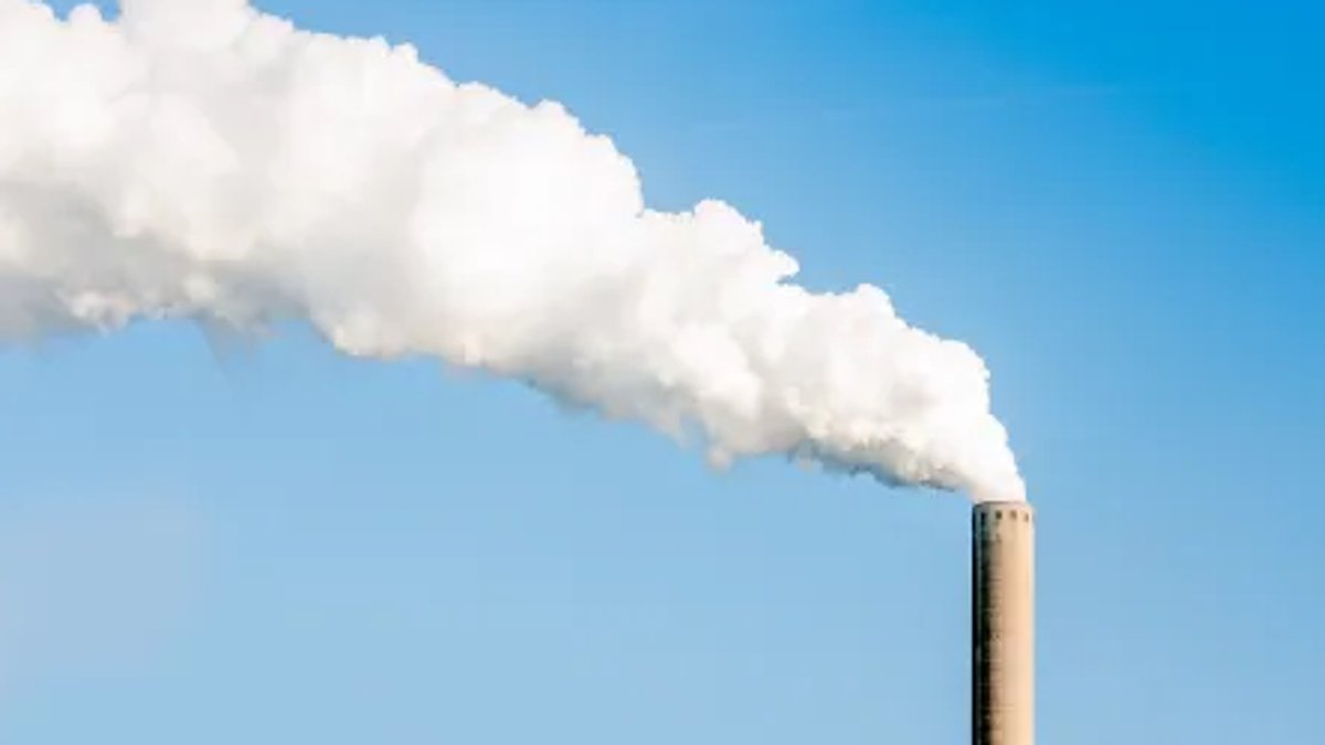 Firms Cut Emissions with New Offset System - carbon emissions
