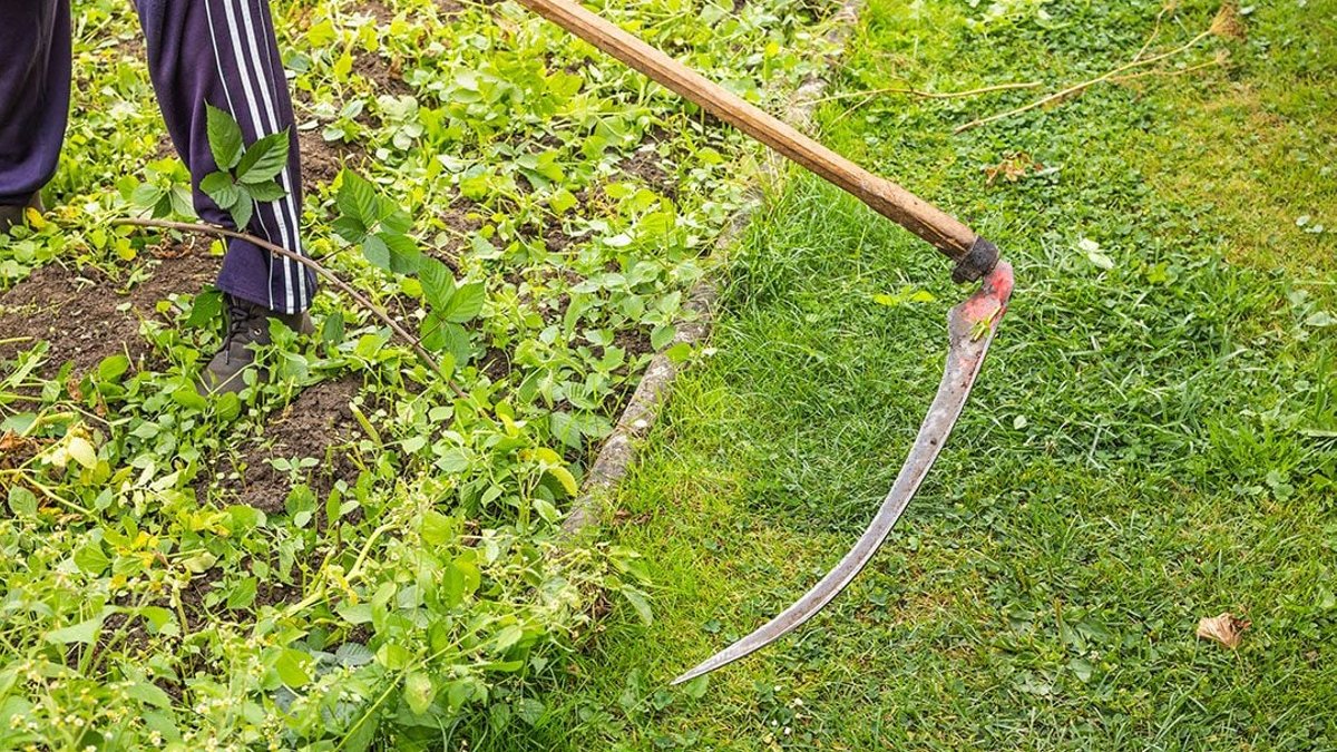 Scythes Make a Comeback in Lawn Care - scythe lawn care