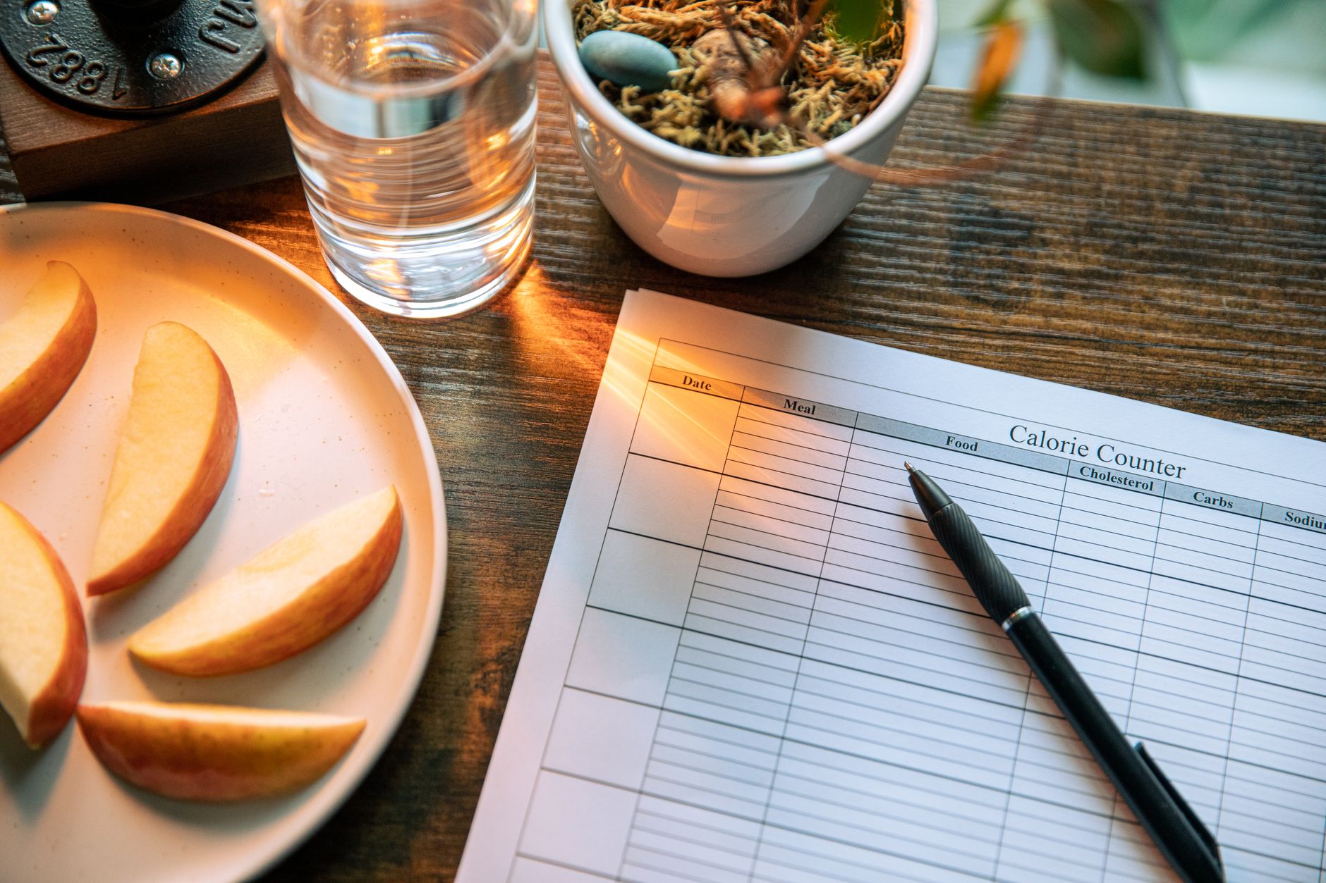 7 Weight-reduction plan and Way of life Modifications to Enhance Your Immune System