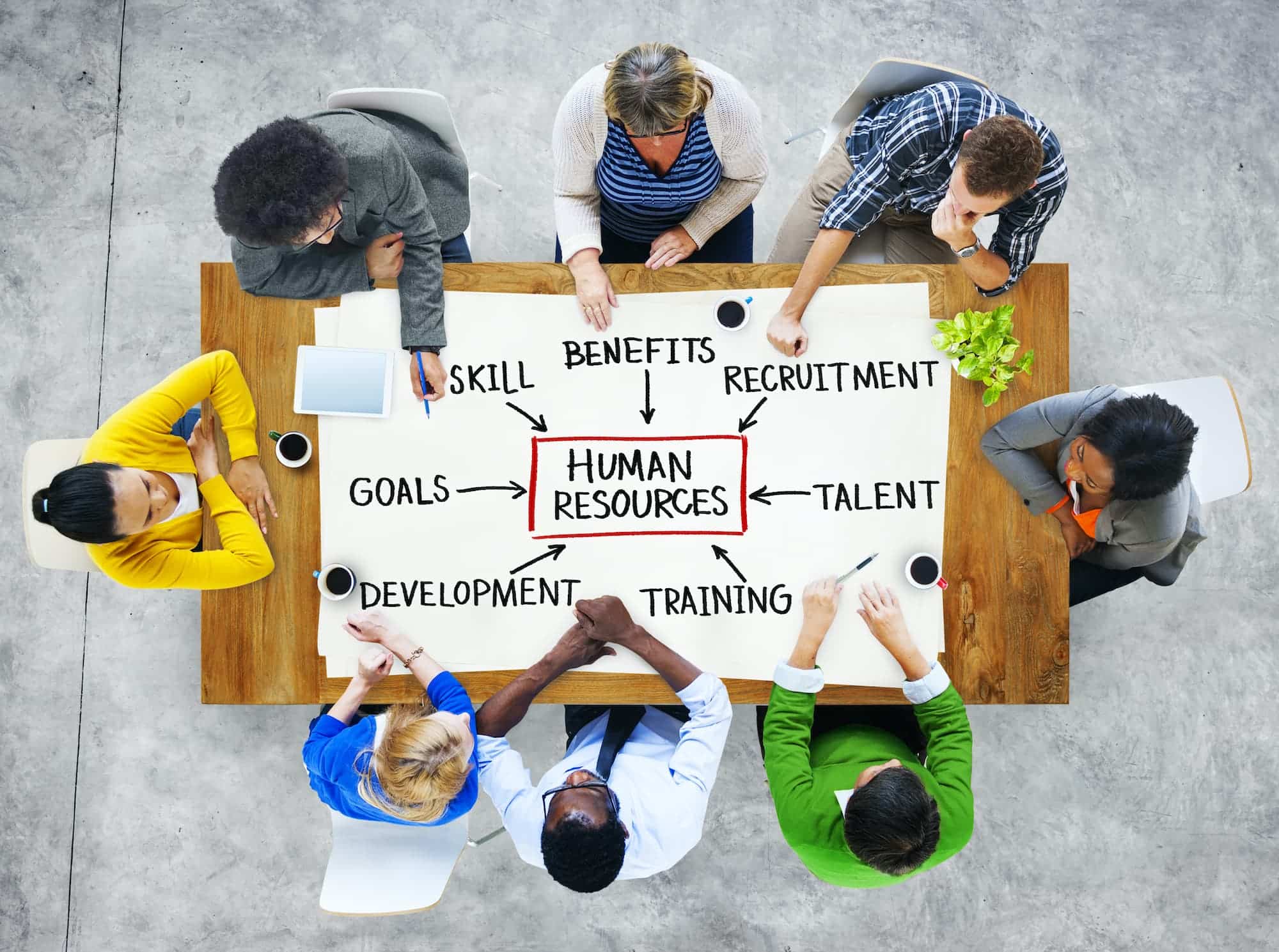 Understanding the Value of CIPD Qualifications in HR