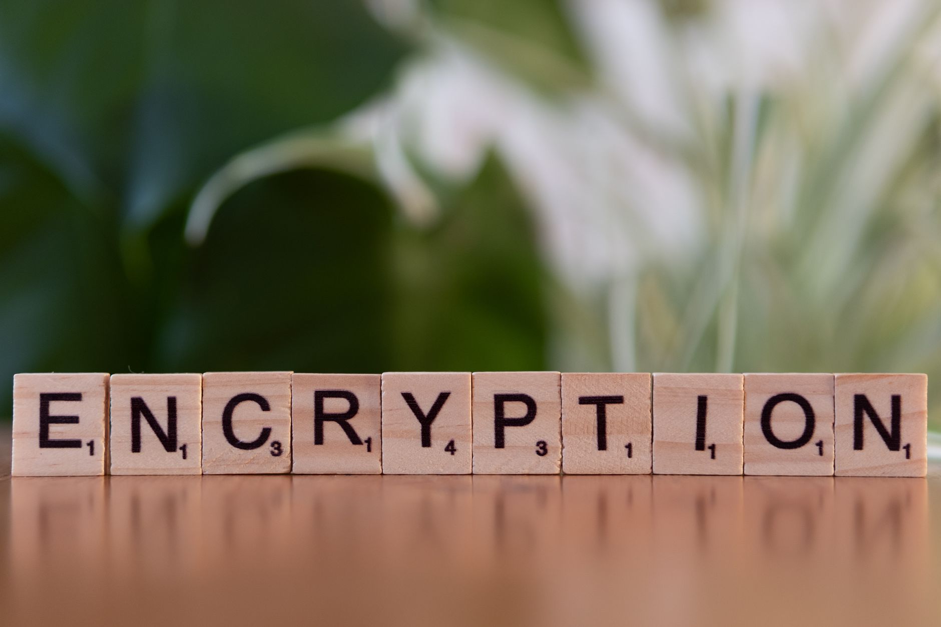 Keeping Your Data Safe With Proper Network Security