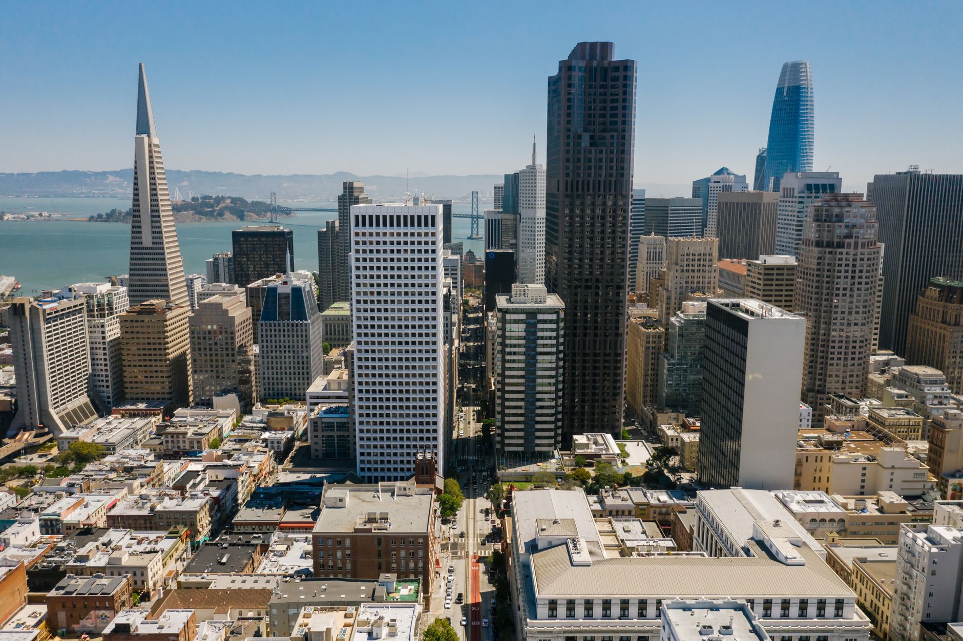 FASCINATING EXISTENCE OF SILICON VALLEY