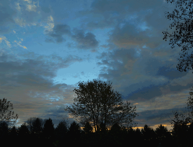 How to Make a Timelapse Video from an Android Smartphone
