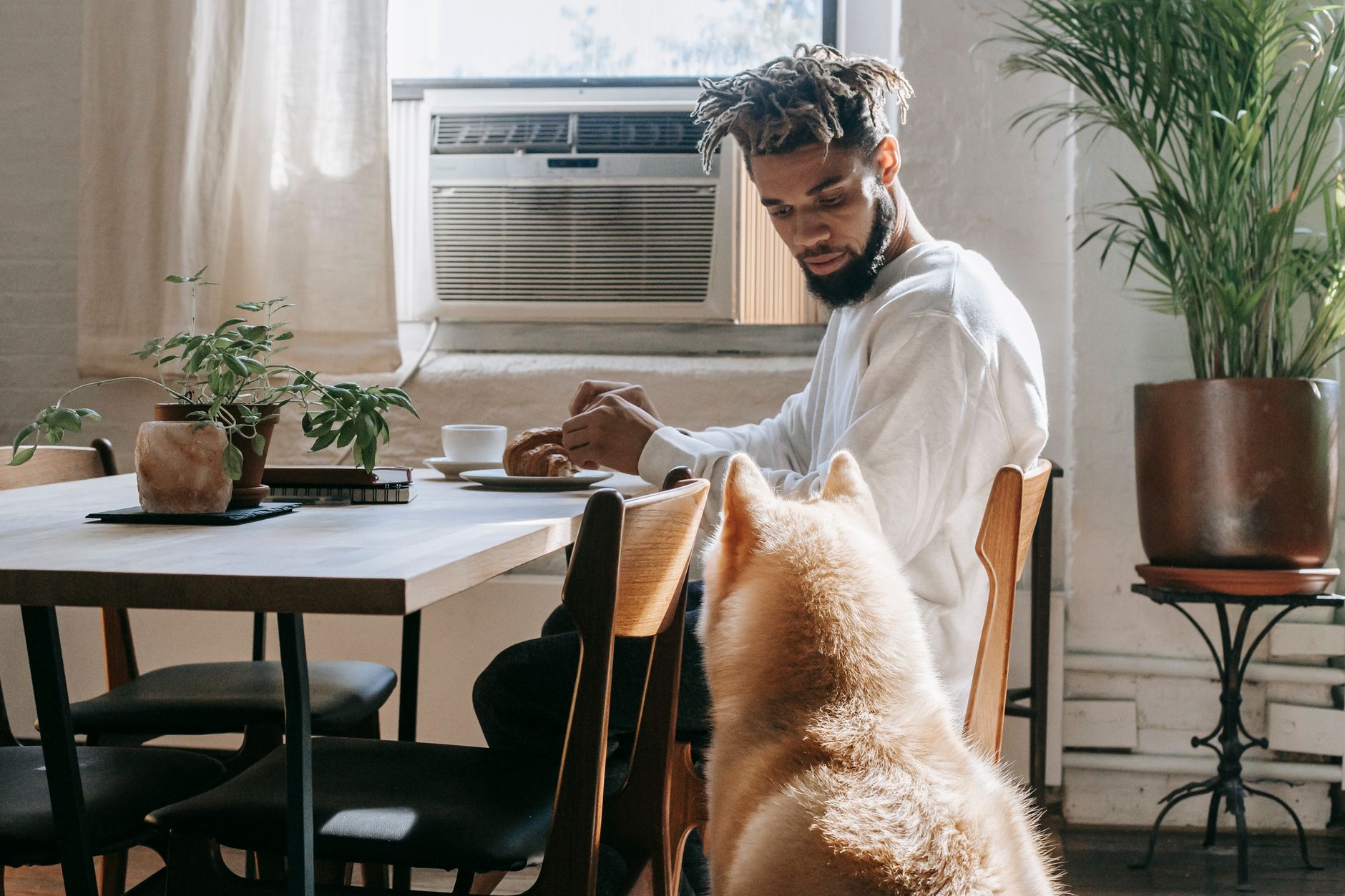 Portable Air Conditioner Shopping – The 3 Money-Saving Tips to Keep in Mind