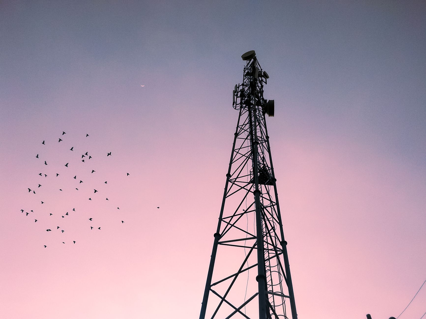 Telecom Businesses are adopting Remote workforce to save money and completing projects on Time