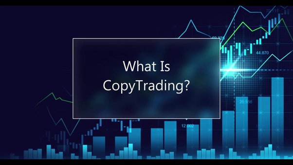 Does Copy Trading Work? – Find Out The Answer