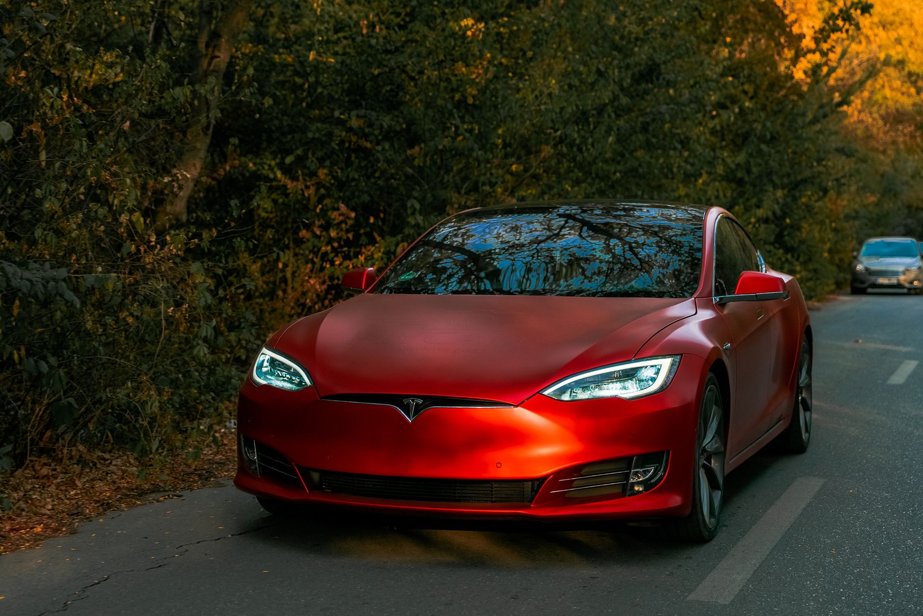 The Drop Down Of the Tesla Stock
