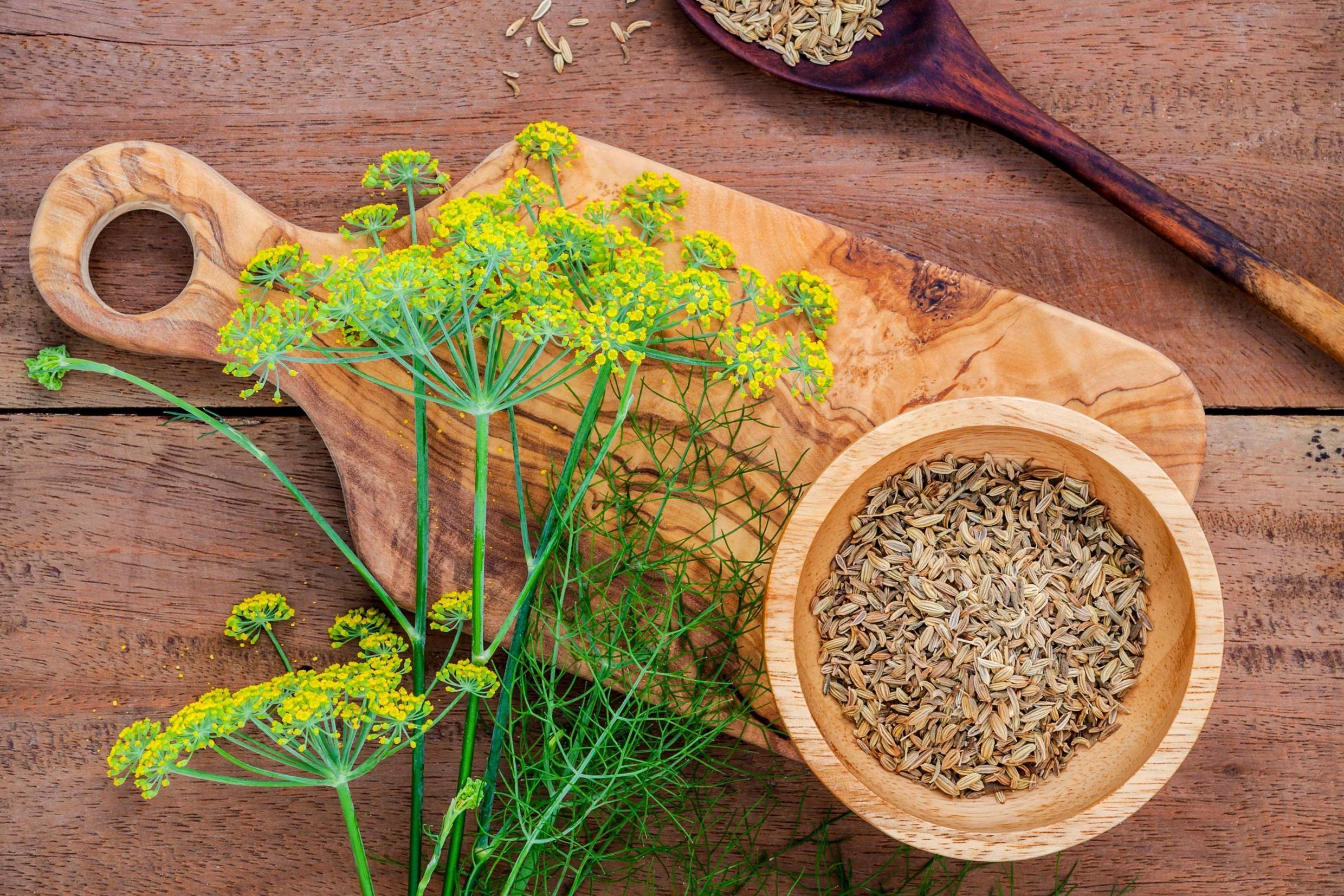 4 Herbal Alternatives to Traditional Stimulants
