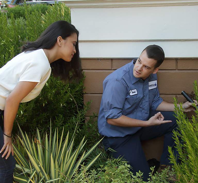 Mark Roemer Oakland Suggests Hiring a Pest Control Company to Rid Your Home of Pests