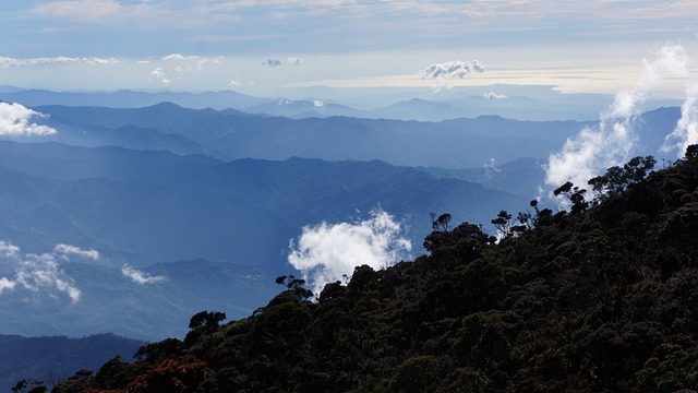 How to Prepare for a Borneo Jungle Adventure