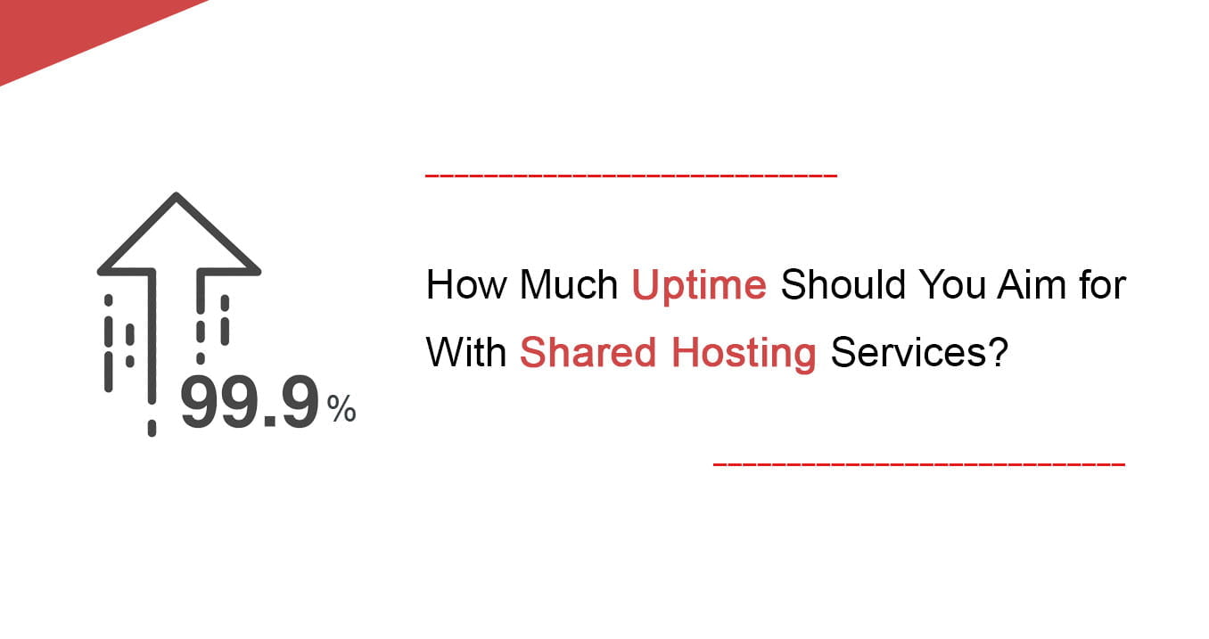 Does a shared hosting plan give you high uptime?