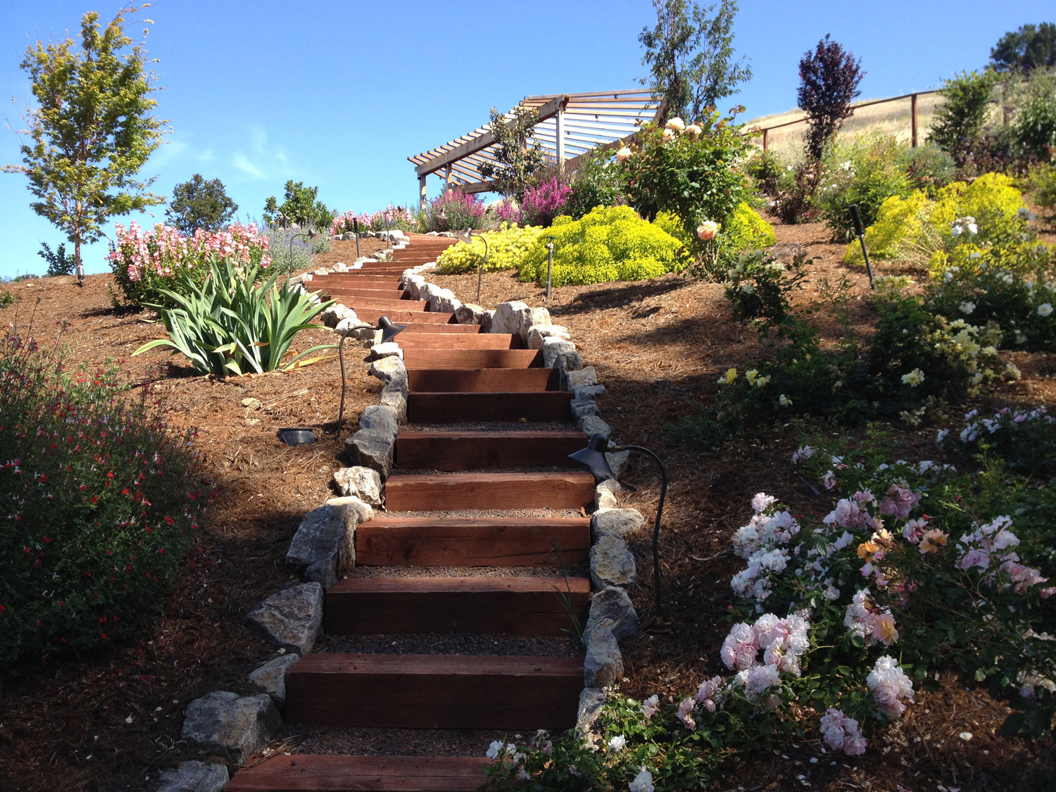 Landscaping Trends in Lafayette