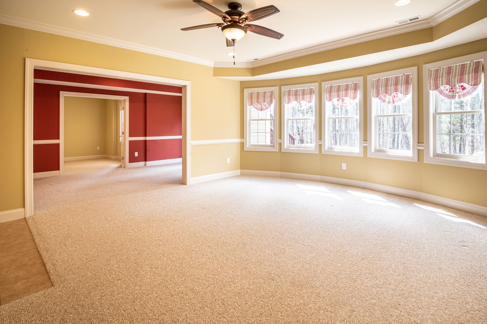Carpet Can Be Cleaned Using Salt