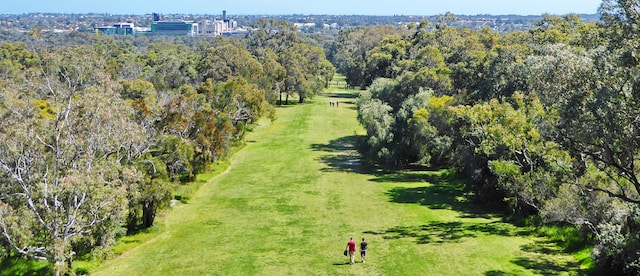 Golf Course Safety: Why Tree Trimming and Removal Are Essential
