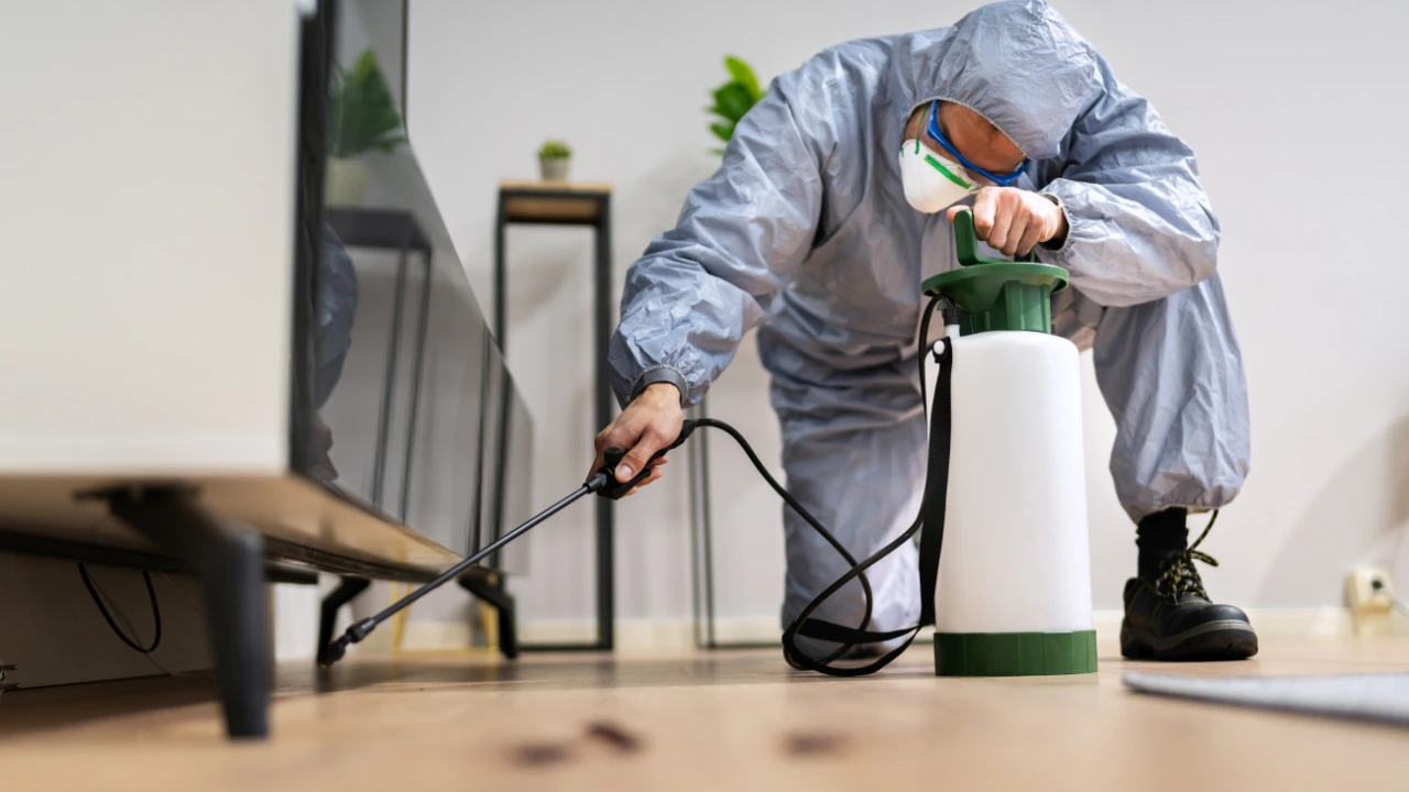 Seven Hiding Spots Pests Use Inside Your Naperville, IL Home Every Winter