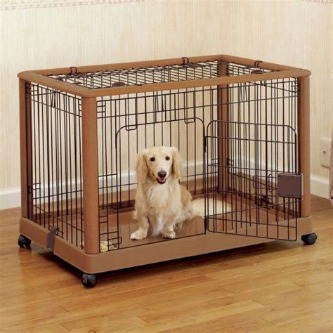 What To Look For In A Dog Crate
