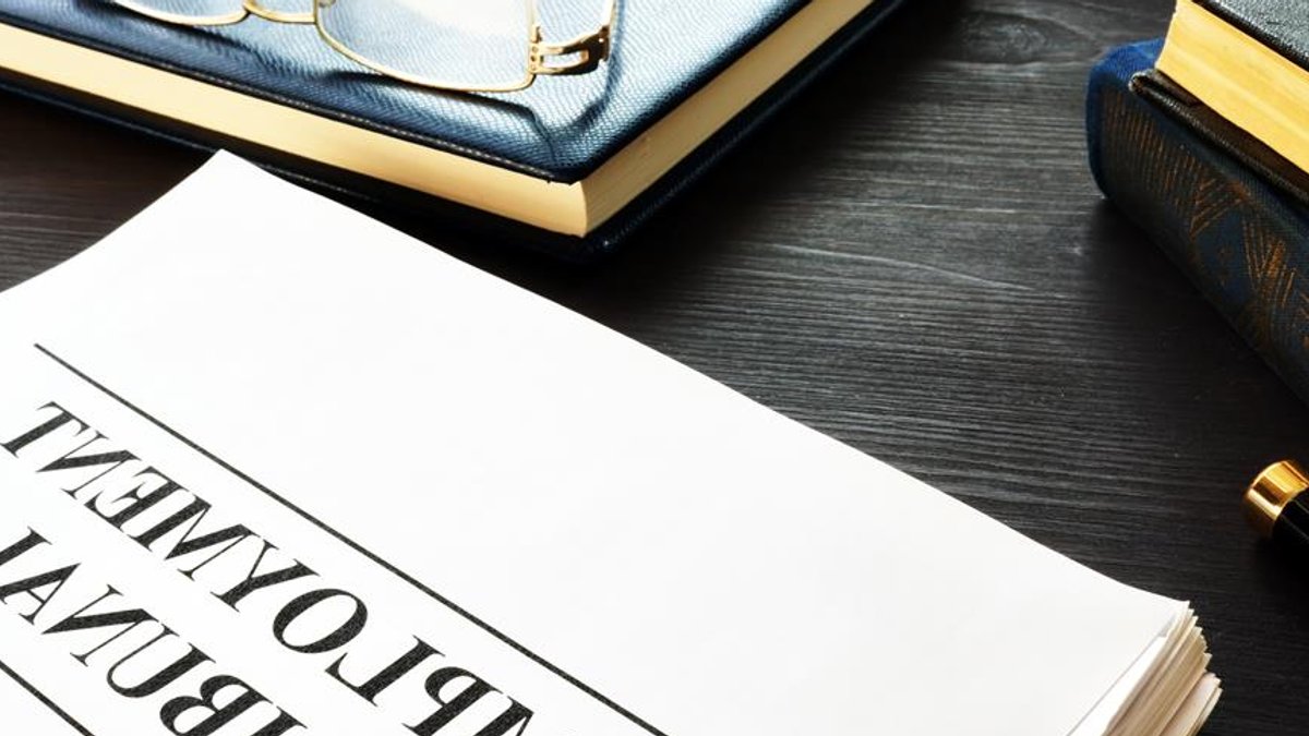 Tribunal moves to curb AI interim relief bids Tribunal moves to curb AI interim relief bids - interim relief