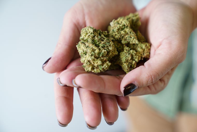 How to Get a Medical Marijuana Card in Oregon Online