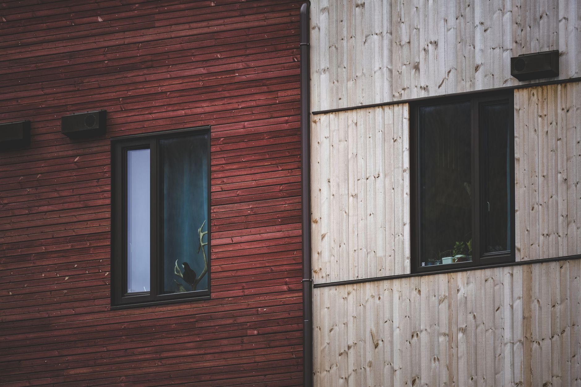 The Most Popular Types of House Cladding