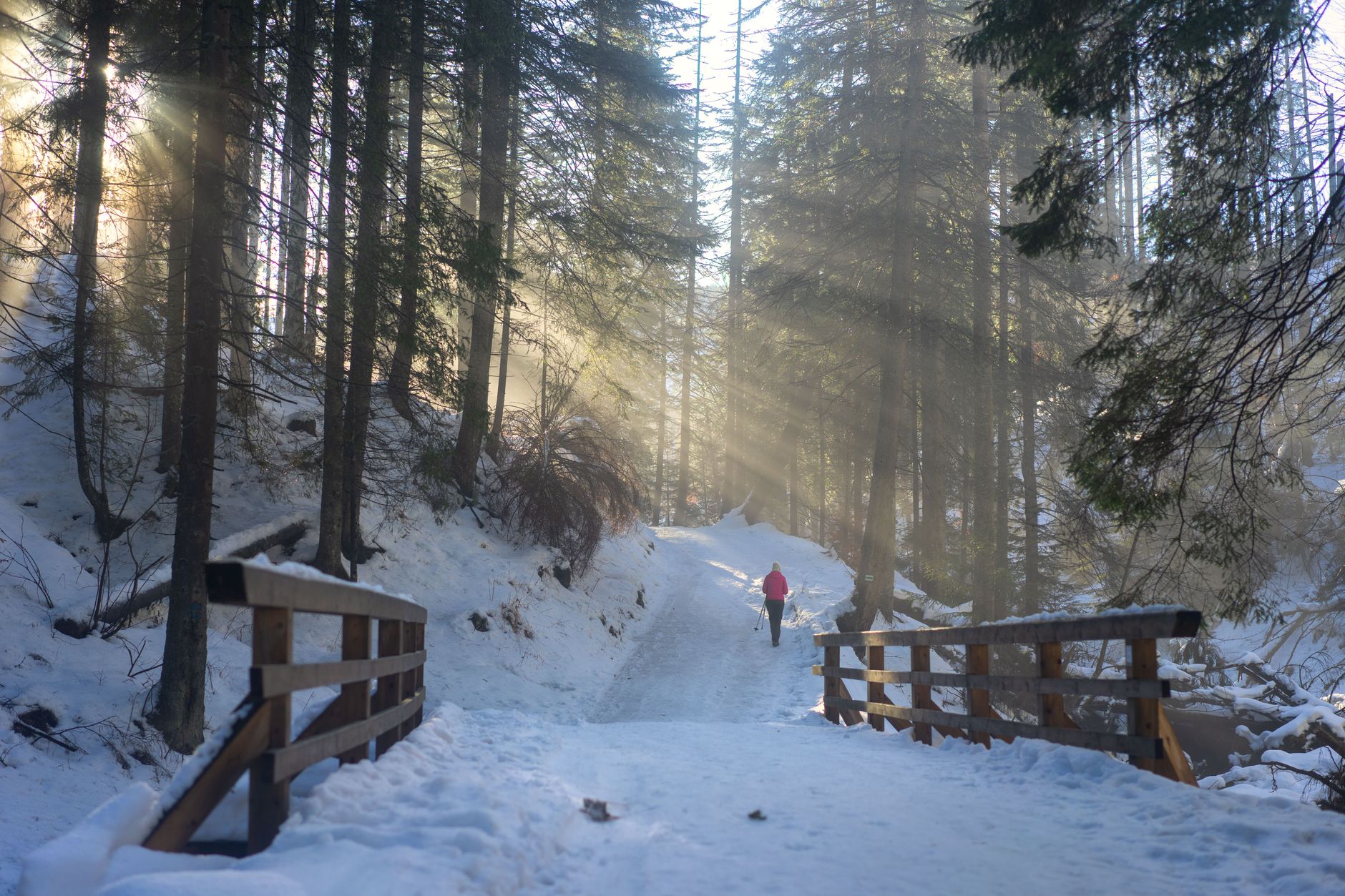 3 Ways To Support Your Immune System This Winter