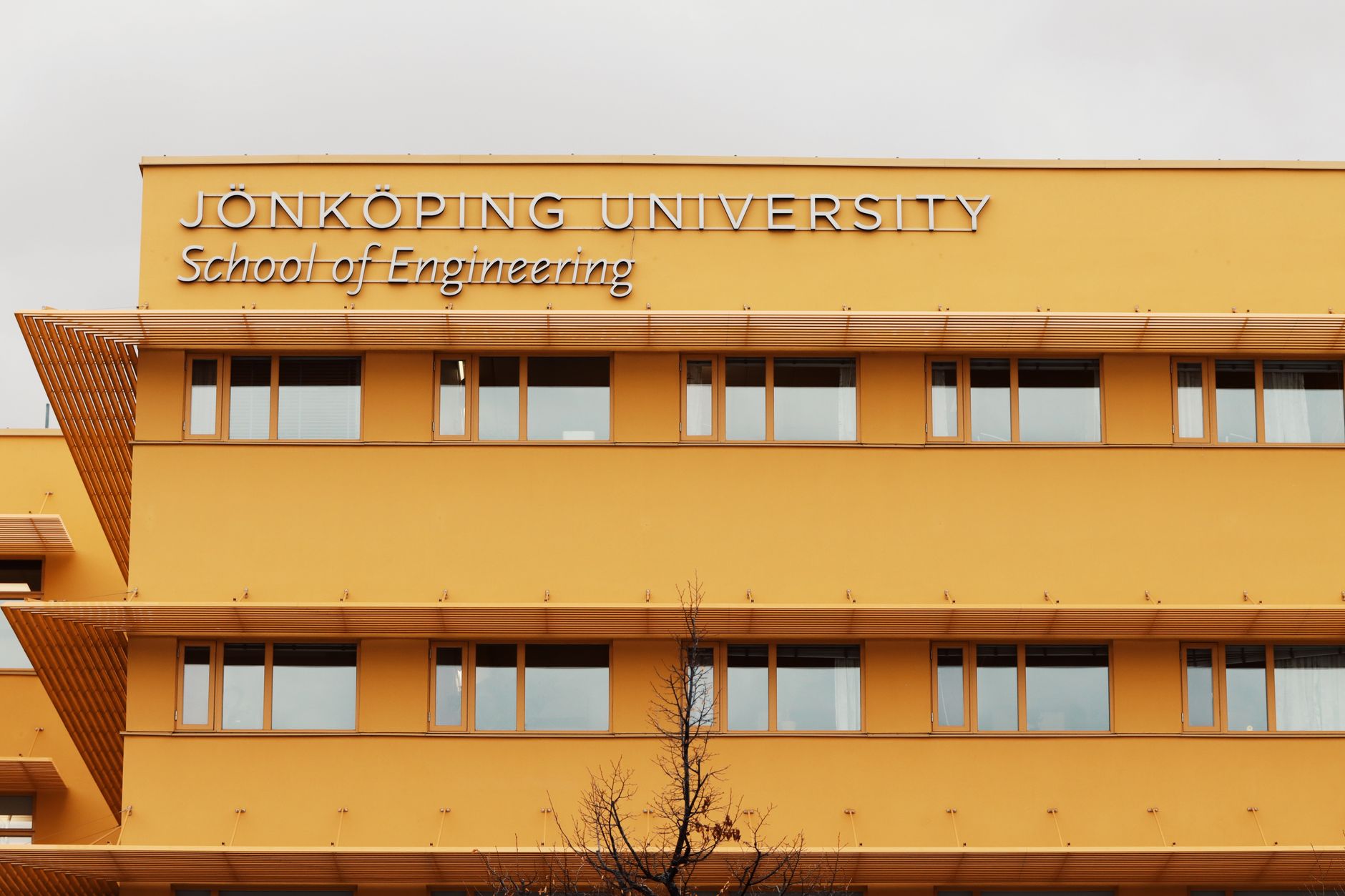Top 4 Courses for Further Education Abroad