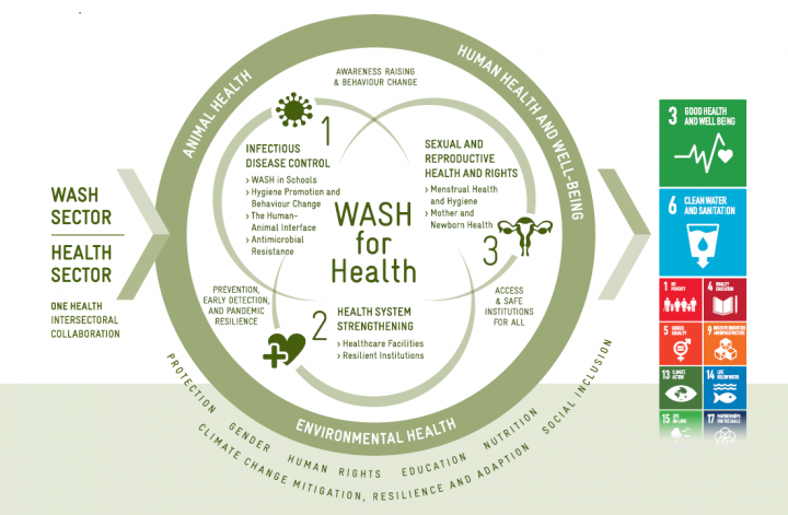 Preventative Medicine and Wellness: The Connection Explained