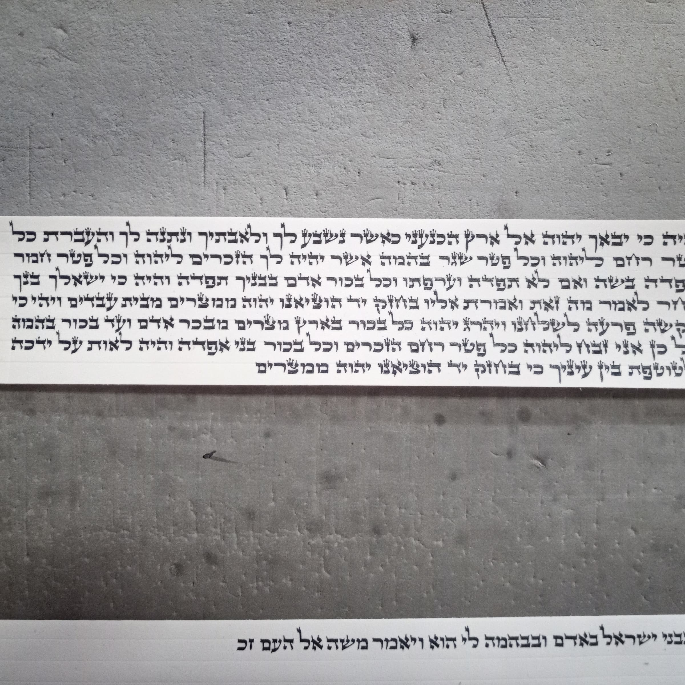 תפילין