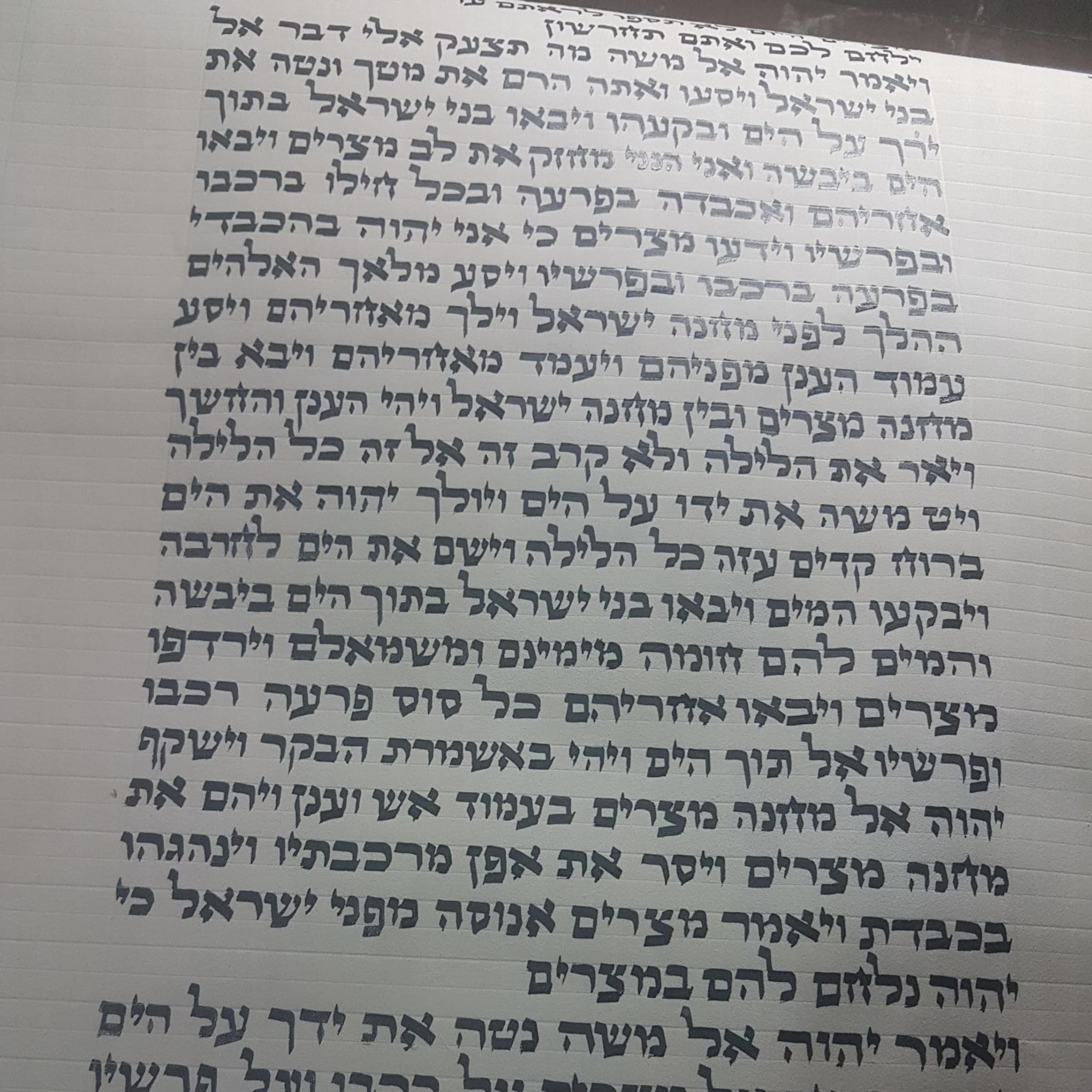 ספר תורה ספר תורה ספרדי - תמונה 3 מתוך 3