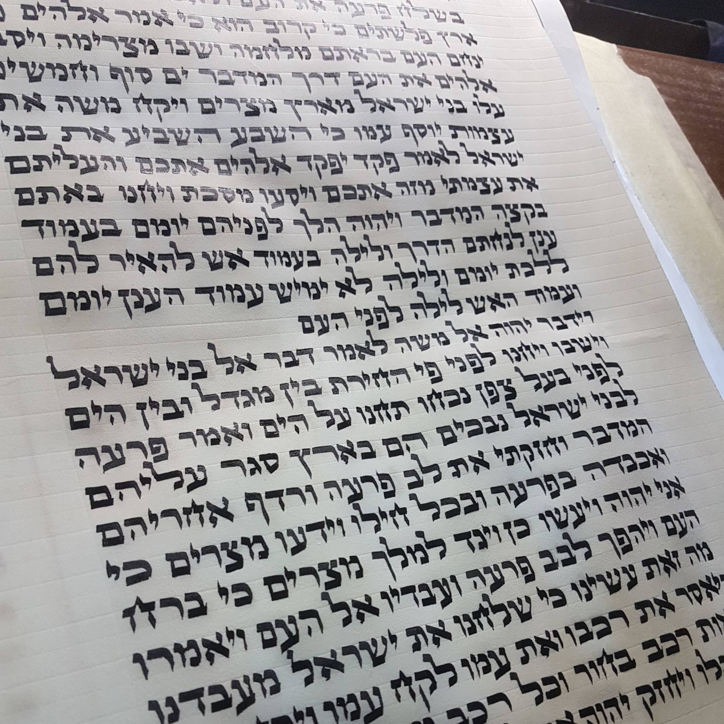 ספר תורה ספר תורה ספרדי - תמונה 2 מתוך 3