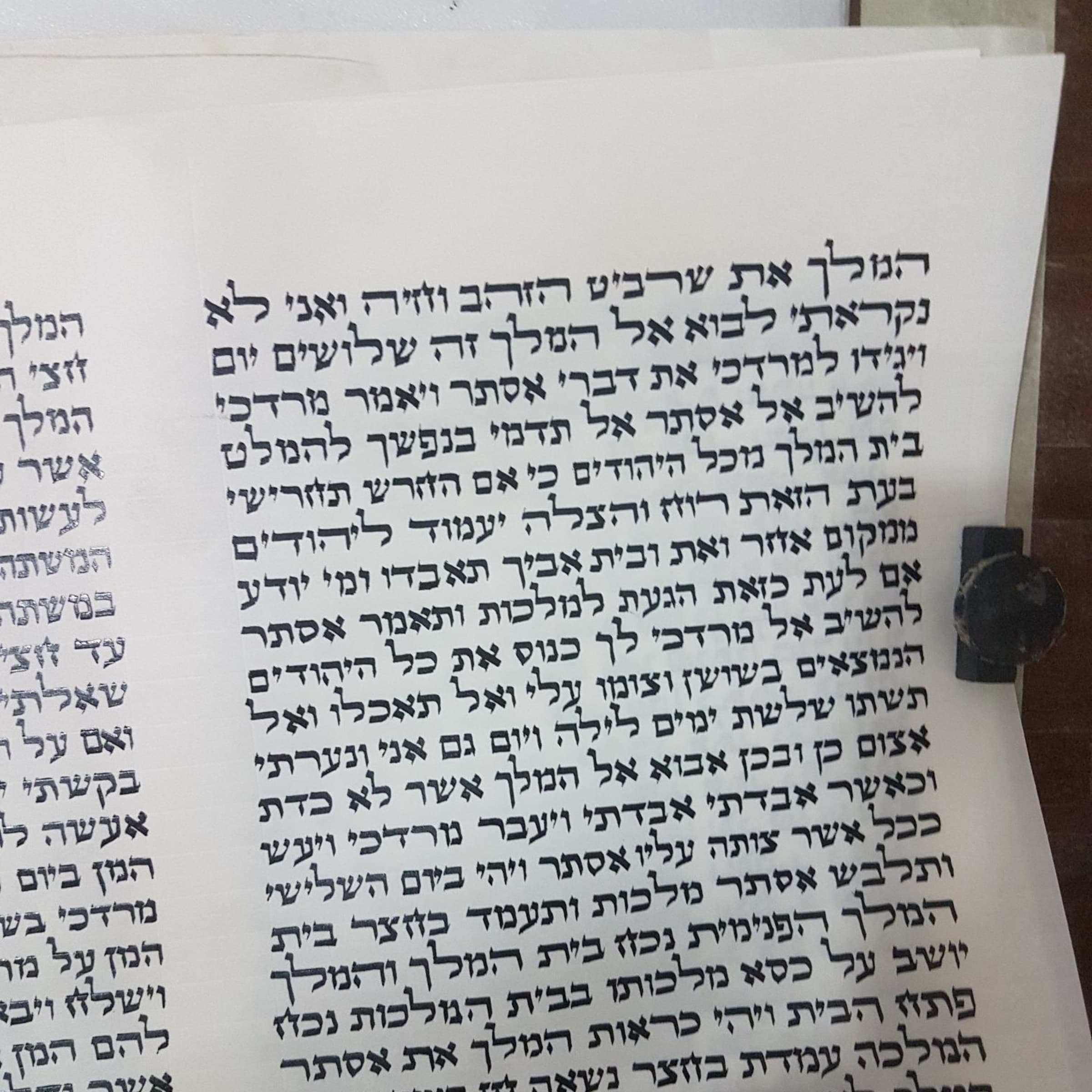 מגילה אסתר - תמונה 2 מתוך 2