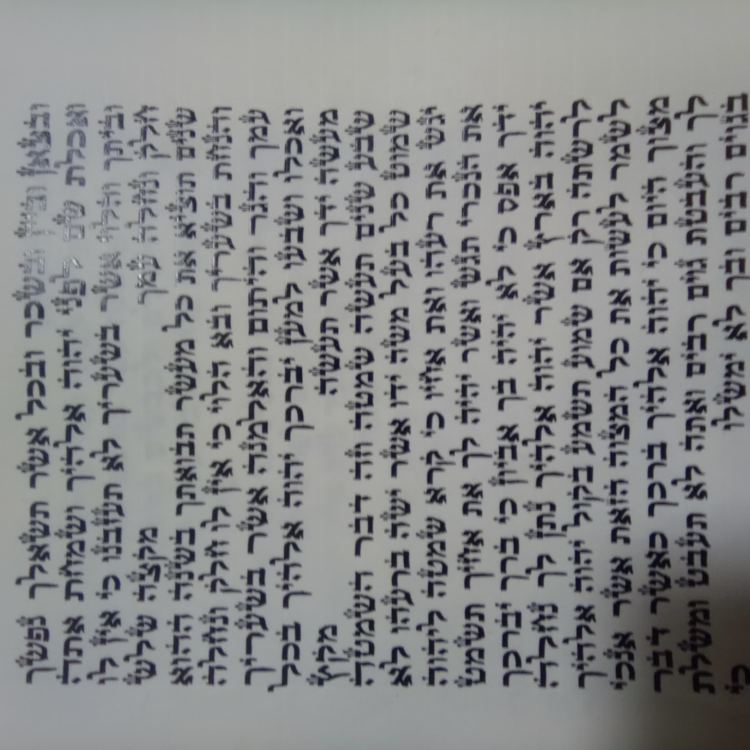 ספר תורה עמוד בספר תורה - תמונה 2 מתוך 2
