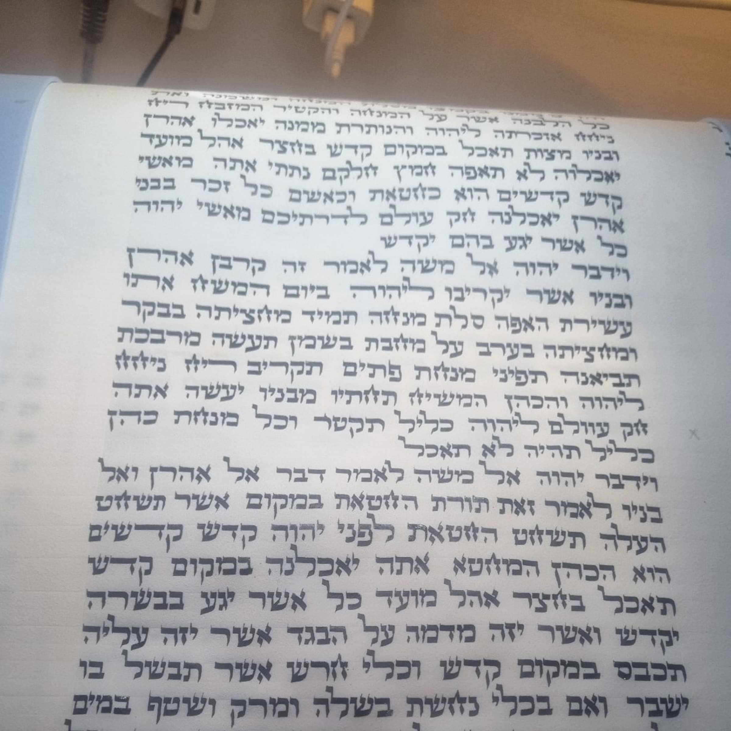 ספר תורה כתב ספרדי מהודר  56 ס"מ כתב ספרדי מהודר מאד - חותם - תמונה 2 מתוך 4
