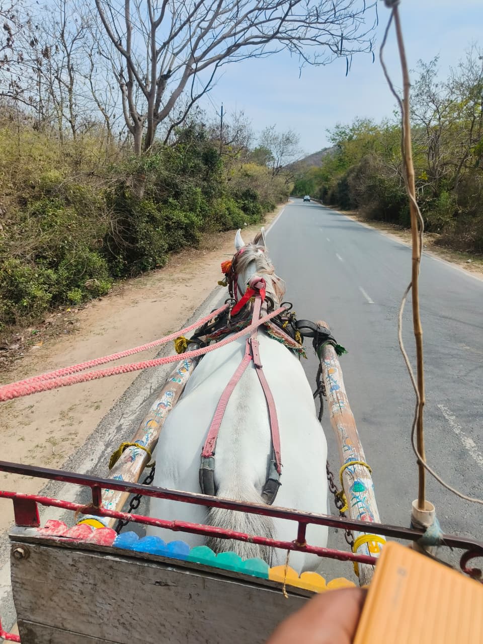 Rajgir: The Human Brush That Colors Nature’s Canvas