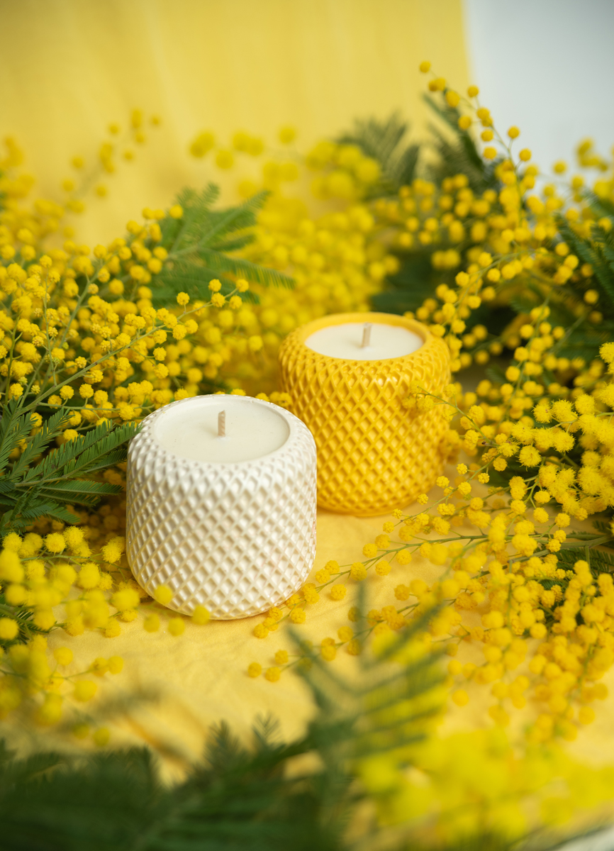 Bougie parfumée au mimosa сollection "Voyage en Provence"