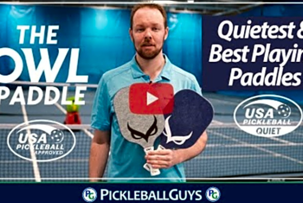 Owl Pickleball Paddle Review: Is it worth the hoot? Find out in our honest review.
