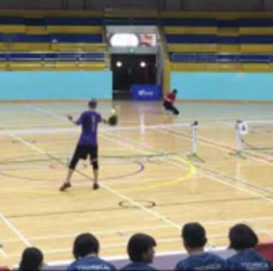 Pickleball Singapore - Peter vs Andrew (Open Mens Singles 4.0)