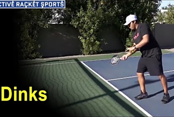 Dinks In Pickleball by Daniel De La Rosa