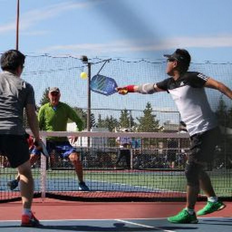 Korean Pickleball Videos